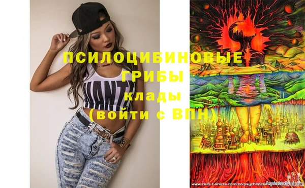 прущие крисы Козловка