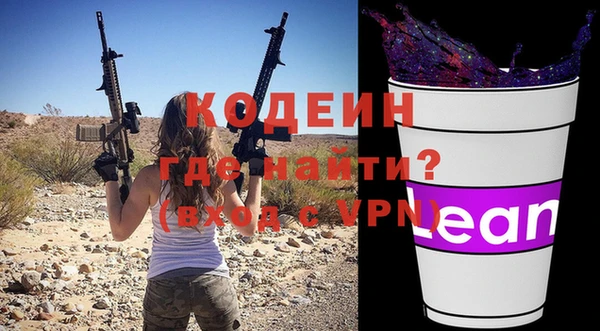 индика Кодинск
