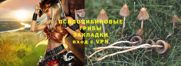 прущие крисы Козловка