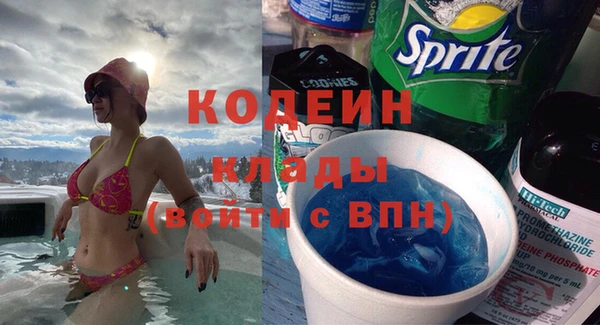 индика Кодинск