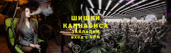 индика Кодинск
