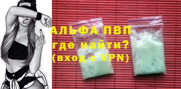 индика Кодинск